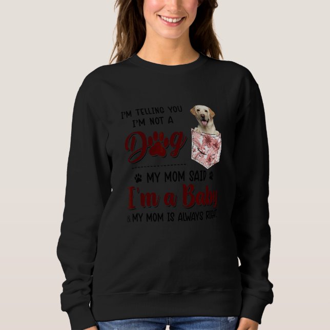 I'm Telling You I'm Not A Dog My Mom Said Labrador Sweatshirt (Front)