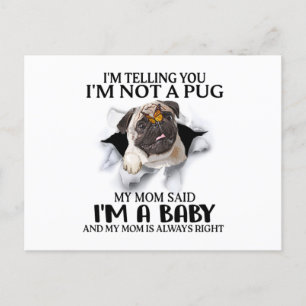 I'm Telling You I'm Not A Pug I'm A Baby Pug Lover Postcard