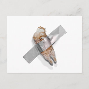 I'm the best banana! postcard