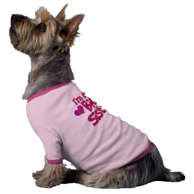 big sister dog shirt petco