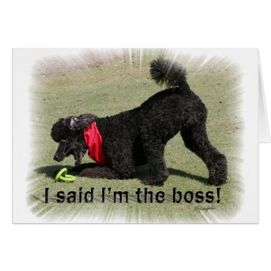 I'm The Boss Cards (Front Horizontal)
