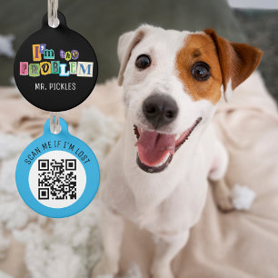 I'm the Problem Collage Pet ID Tag
