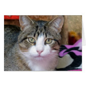 I'm Thinking (Front Horizontal)