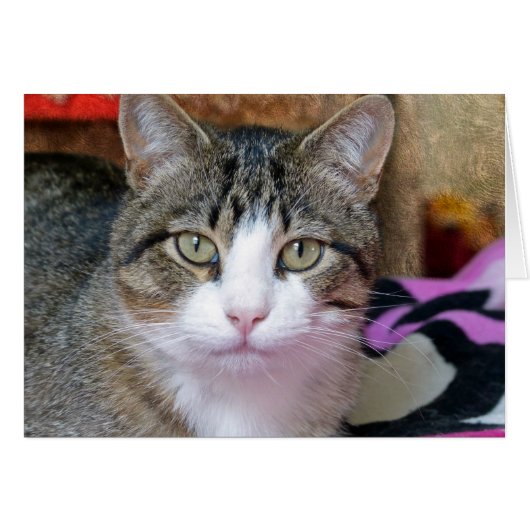 I'm Thinking (Front Horizontal)