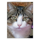 I'm Thinking (Front)