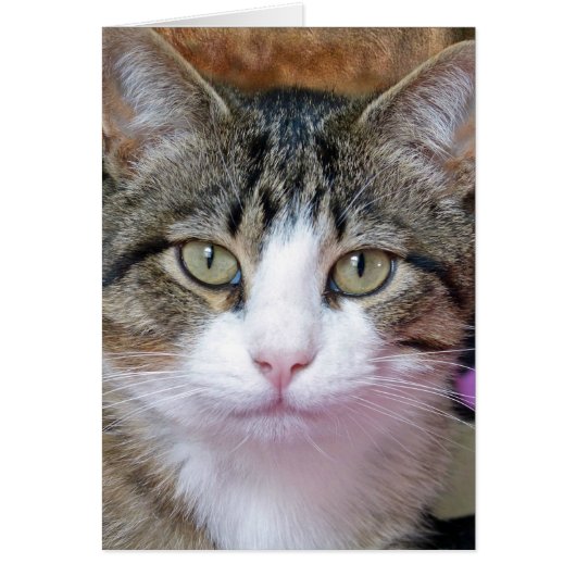 I'm Thinking (Front)