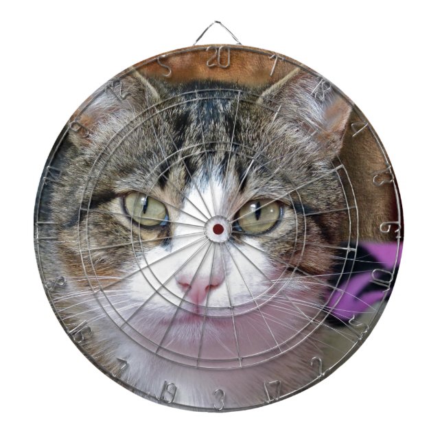 I'm Thinking Dart Board (Front)