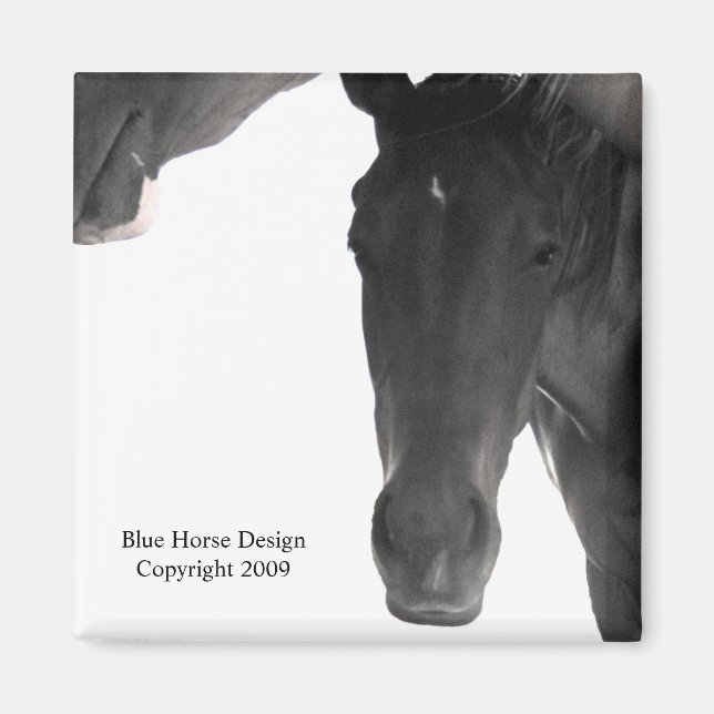 I'm Trying to Sleep Here Magnet (Front)