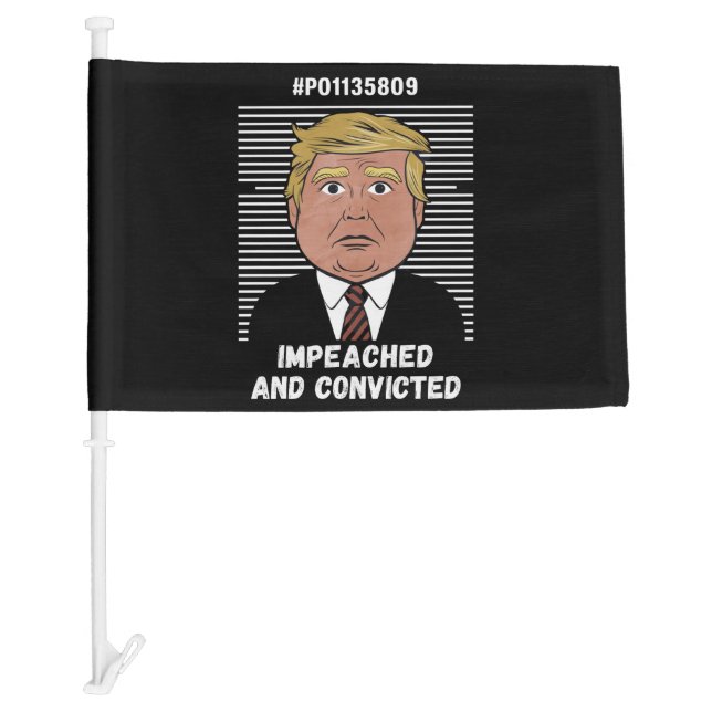 I'm Voting For The Convicted Felon Pro Trump 2024 Car Flag (Front)