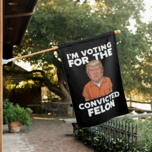 I'm Voting For The Convicted Felon Pro Trump 2024 House Flag