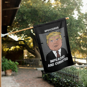 I'm Voting For The Convicted Felon Pro Trump 2024 House Flag