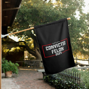 I'm Voting For The Convicted Felon Pro Trump 2024 House Flag