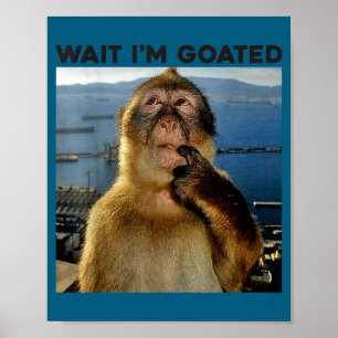 I'm Wait Goated Thinking Monkey Meme Poster