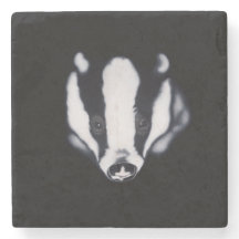 ' I'm Watching You ' badger stone coaster