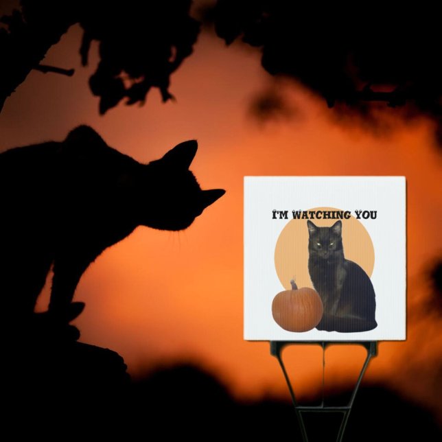 I'm Watching You | Black Cat and Orange Pumpkin  Sign (Creator Uploaded)