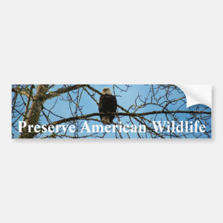 I'm Watching You Bumper Sticker