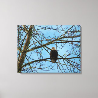 I'm Watching You Canvas Print