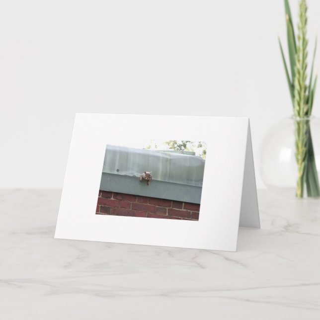 i'm watching you card (Front)