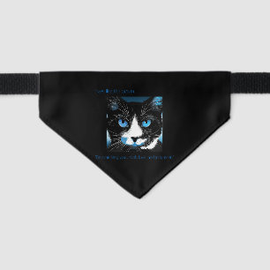 "I'm watching you... Cat Bandana Pet Bandana Collar