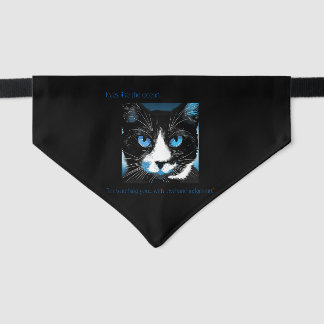 "I'm watching you... Cat Bandana Pet Bandana Collar