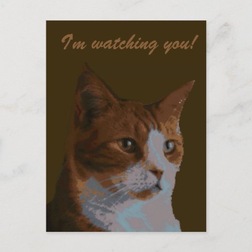 Im watching You Cat postacard Postcard