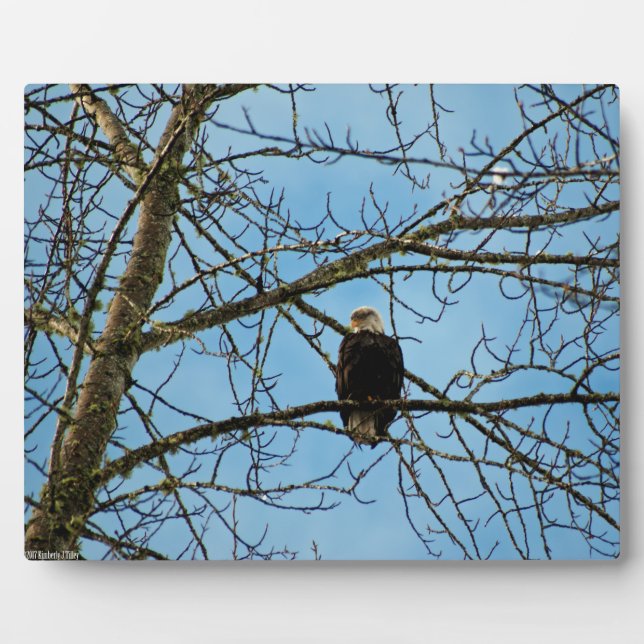 I'm Watching You Plaque (Front)