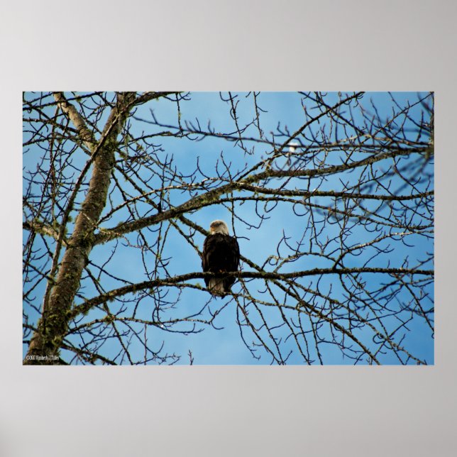 I'm Watching You Poster (Front)