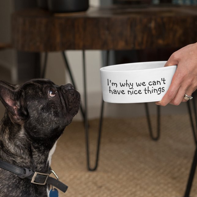I'm Why we Can't have Nice Things Funny Bowl (Creator Uploaded)