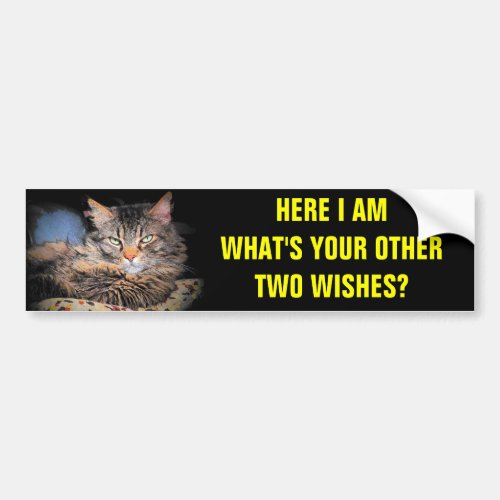 Im Wish Number One Kitty Bumper Sticker