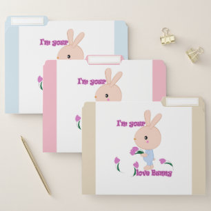 I'm your favorite Bunny File Folder