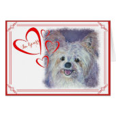 I'M YOURS VALENTINE CUTE WHITE YORKIE MIX (Front Horizontal)