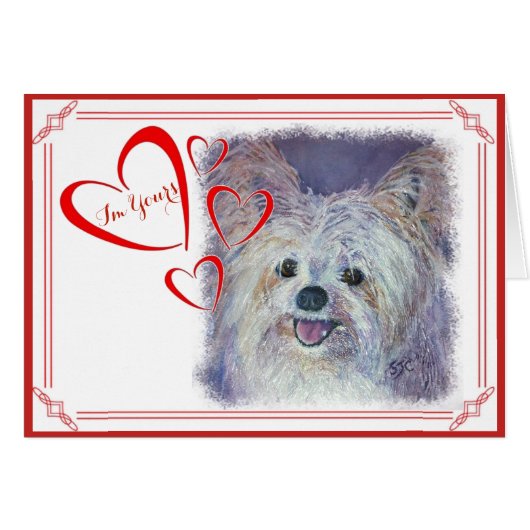 I'M YOURS VALENTINE CUTE WHITE YORKIE MIX (Front Horizontal)