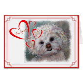 I'M YOURS VALENTINE SWEET WHITE MALTESE YORKIE MIX (Front Horizontal)