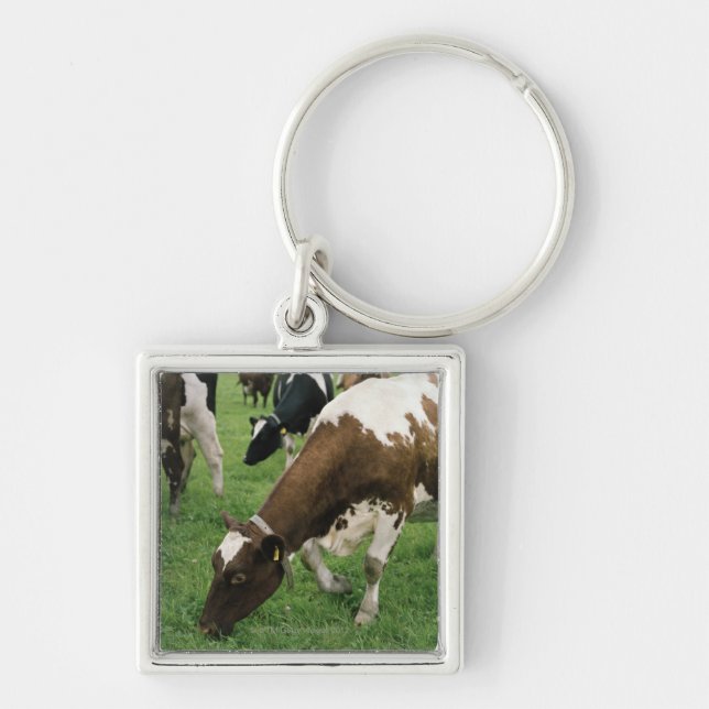 ima28991 keychain (Front)