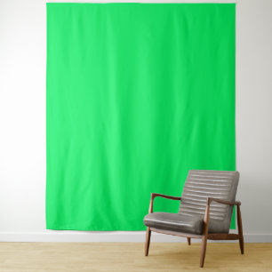 Image Edit Green Screen Backdrop for Influencers