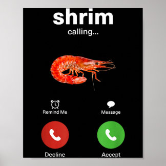 Image Graphic Poster