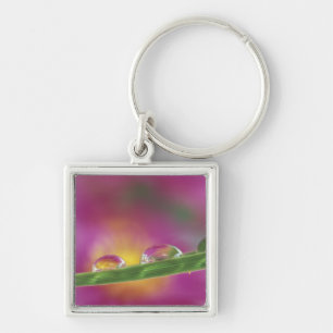 Image of asters formed in water droplets keychain