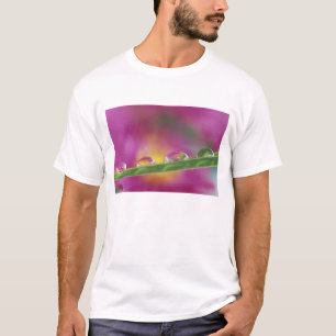 Image of asters formed in water droplets T-Shirt