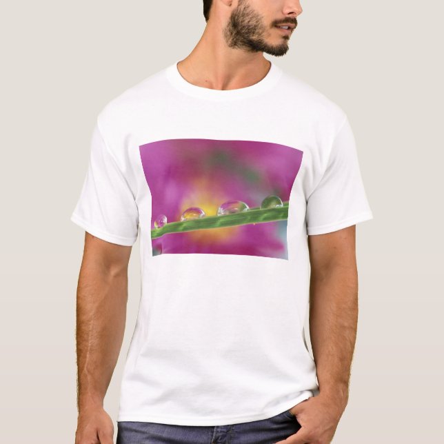 Image of asters formed in water droplets T-Shirt (Front)