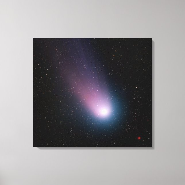 Image of comet C/2001 Q4 (NEAT) Canvas Print (Front)