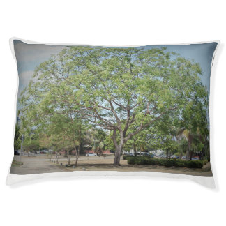 Image that inspires, tree in the square pet bed