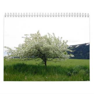 Images From America Calendar