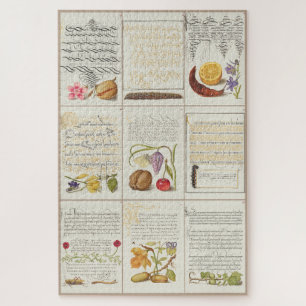 Images from Mira Calligraphiae Monumenta 006 Jigsaw Puzzle