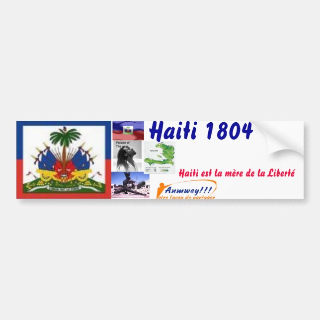 images, wyclef1.jpg.w81h110, negbackground, fla... bumper sticker (Front)