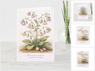 Imaginary Botanical Studies