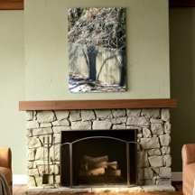 Imaginary Shadow Winter Tree Fine Art Photography