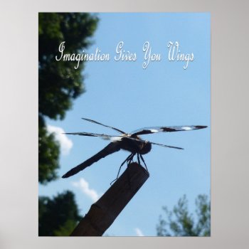 Imagination Dragonfly Poster 2 by RenderlyYours at Zazzle