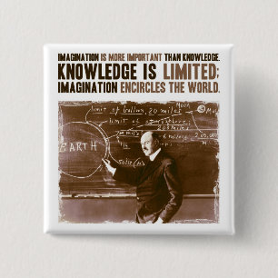 Imagination is more important than knowledge pinback button