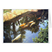 img1173.JPG (Front Horizontal)