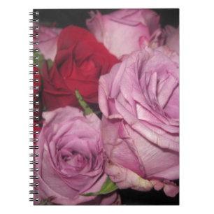 IMG_0032.JPG NOTEBOOK
